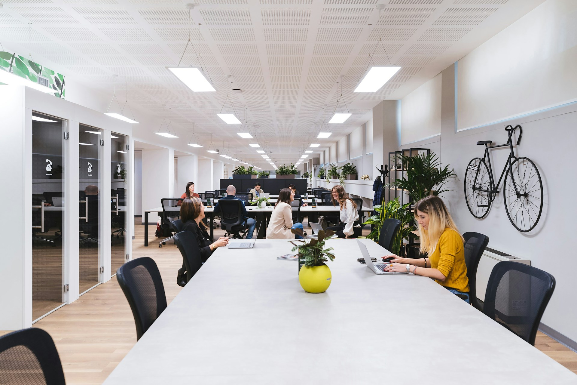 Professional business environment